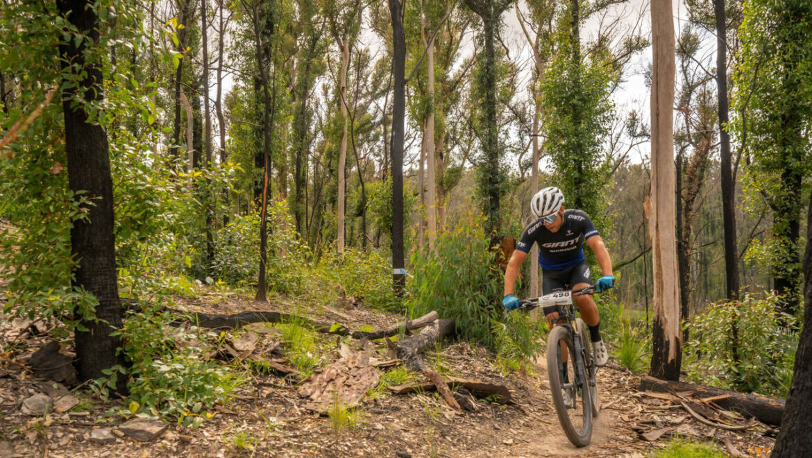 Cycling and Mountain Biking